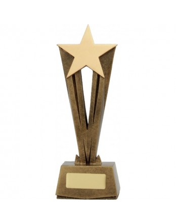  Star Raised Award 320mm