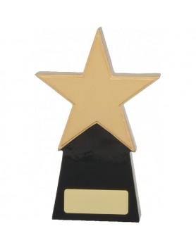  Star Award 160mm