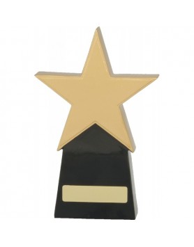  Star Award 210mm