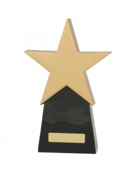  Star Award 260mm