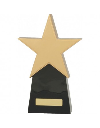  Star Award 260mm