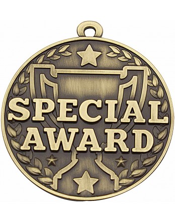 Academic Medal - Special Award