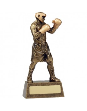  Boxing Stance 190mm