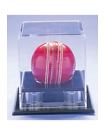   Acrylic Ball Display - Cricket/Baseball/Softball
