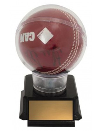   Acrylic Ball Display - Cricket/Tennis