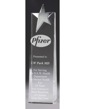Crystal 50mm Tapered Award with Chrome Star 220mm