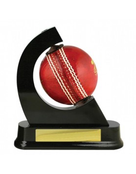 Ball Holder Cricket 167mm