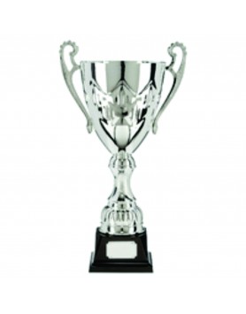 Cup Crown Silver 277mm