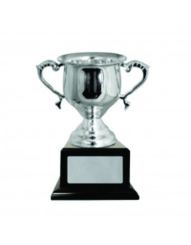 Cup Silver Plated 280mm