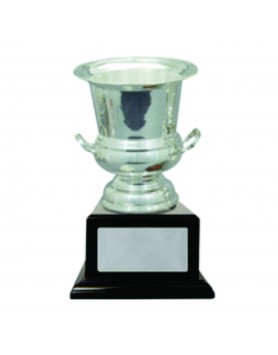 Cup Silver Plated 125mm