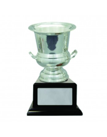 Cup Silver Plated 325mm