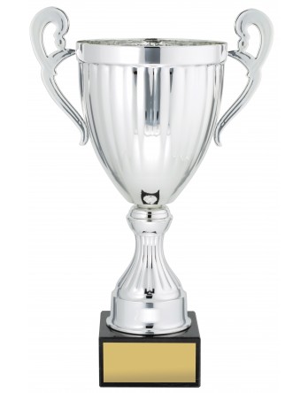  Cup Endeavour Series Silver (5 Sizes)