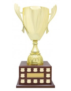 Perpetual Trophy Prestige Cup 540mm