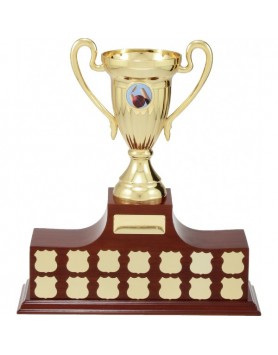 Perpetual Trophy Rosewood with Gold Plastic Cup 270mm